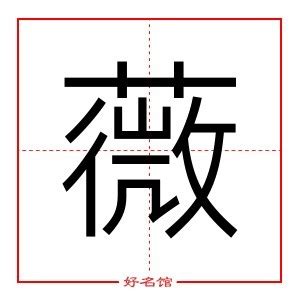 薇五行|薇字的五行是什么,薇的五行属性及吉利寓意